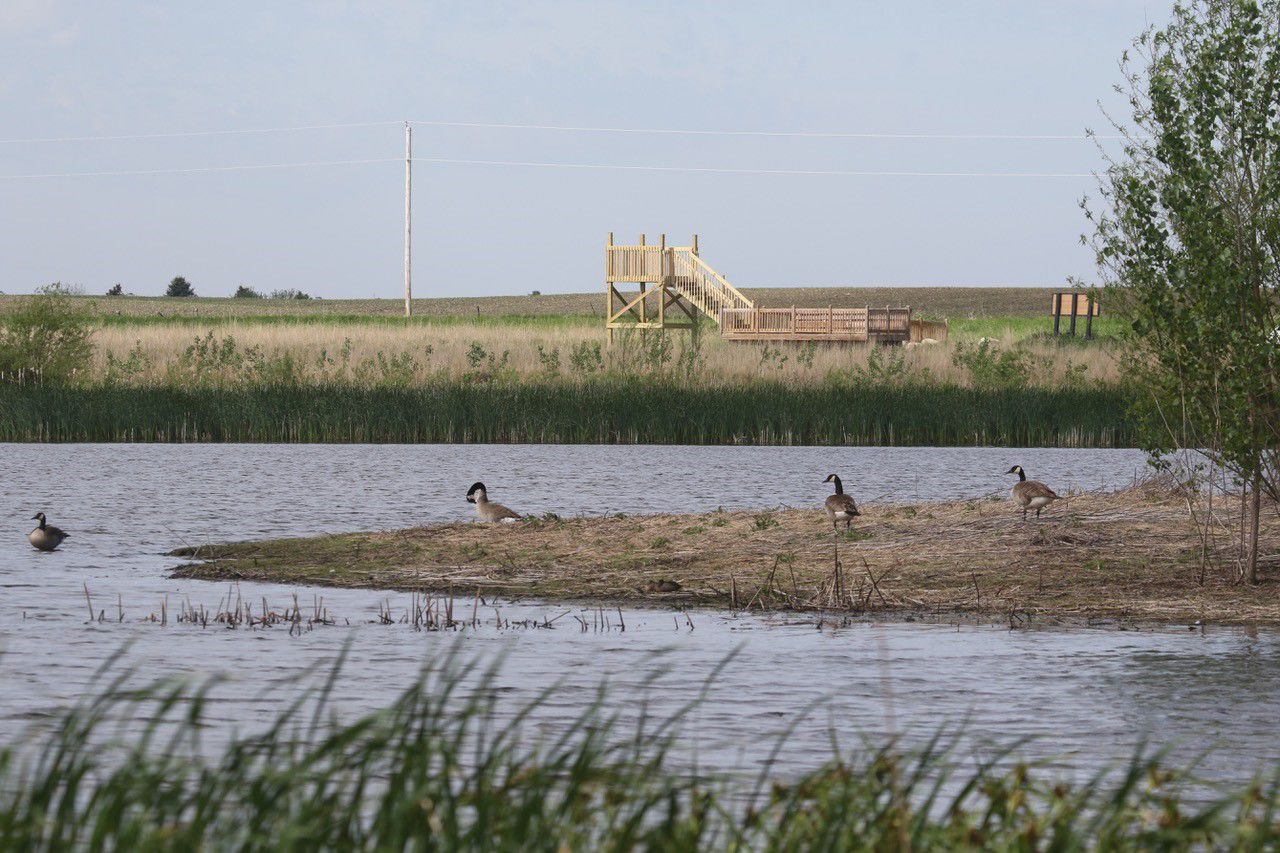 Pintail Wetlands